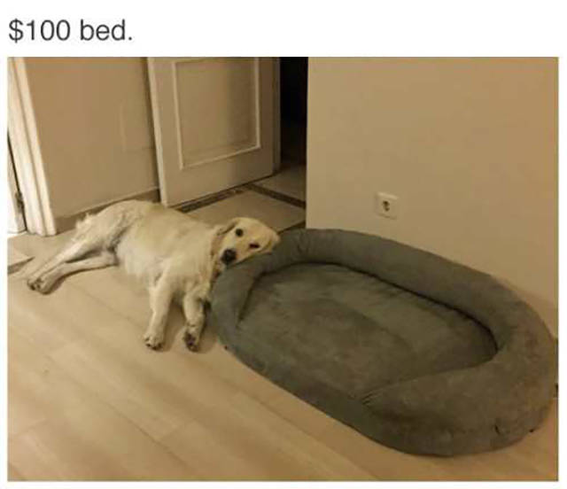 funny picdump 55 pics 4.html - 55 HD Photos | Premium Gallery 2016