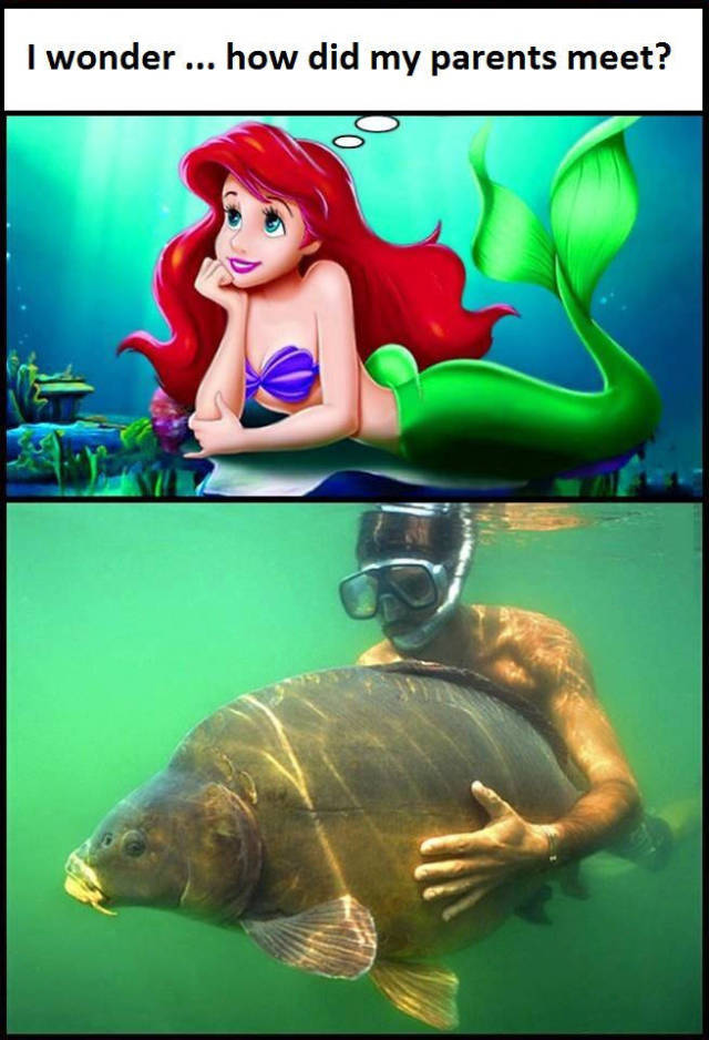 funny picdump 55 pics 4.html - 55 HD Photos | Premium Gallery 2016