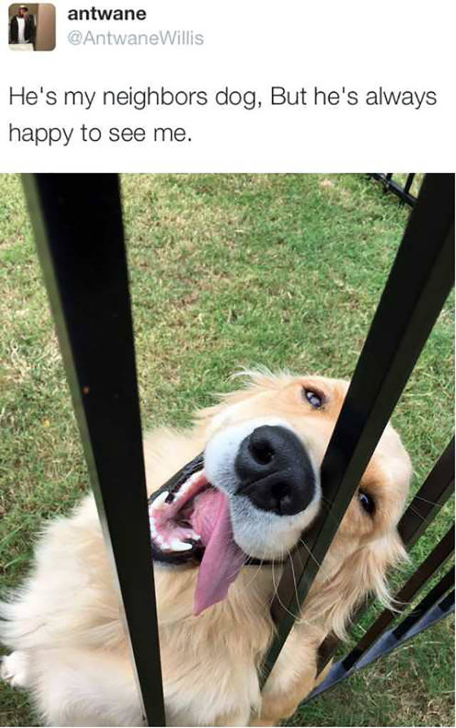 funny picdump 55 pics 4.html - 55 HD Photos | Premium Gallery 2016