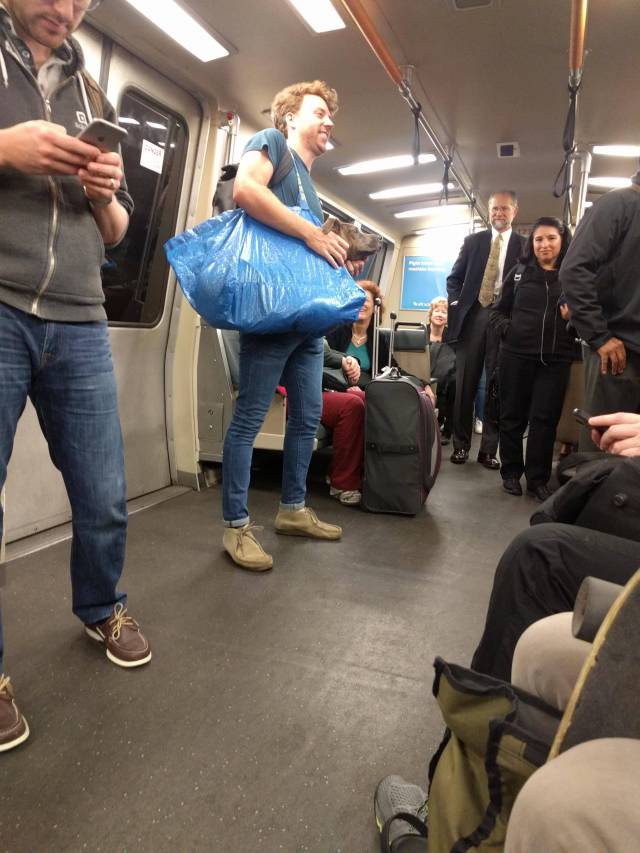 morning picdump 50 pics 19.html - 50 HD Photos | Premium Gallery 2016