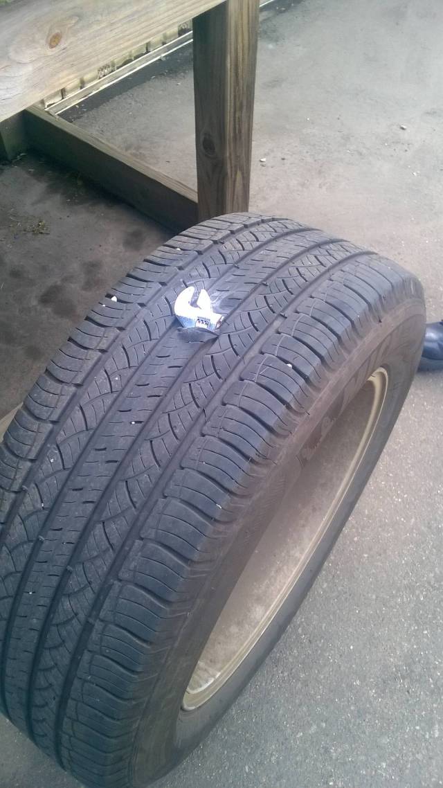 morning picdump 50 pics 19.html - 50 HD Photos | Premium Gallery 2016