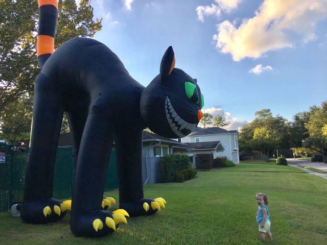 daily picdump 92 pics 20.html - 92 HD Photos | Premium Gallery 2016