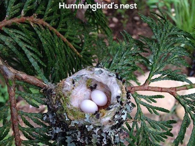 daily picdump 92 pics 20.html - 92 HD Photos | Premium Gallery 2016