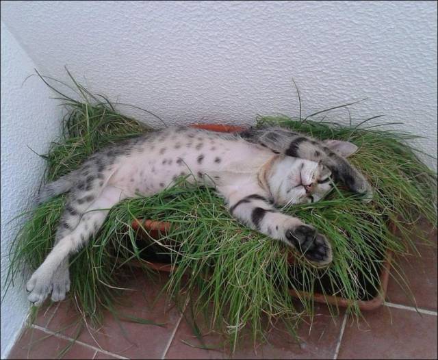 daily picdump 92 pics 20.html - 92 HD Photos | Premium Gallery 2016