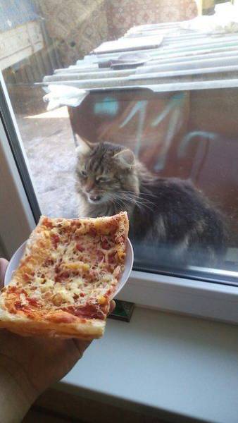 daily picdump 92 pics 20.html - 92 HD Photos | Premium Gallery 2016