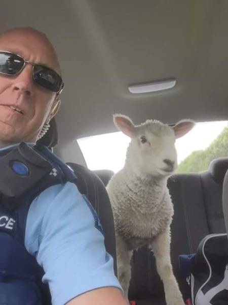 morning picdump 50 pics 21.html - 50 HD Photos | Premium Gallery 2016