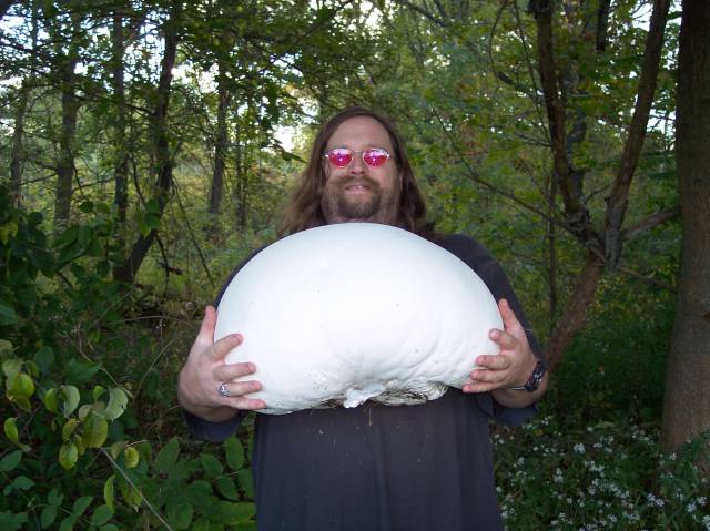 morning picdump 50 pics 21.html - 50 HD Photos | Premium Gallery 2016