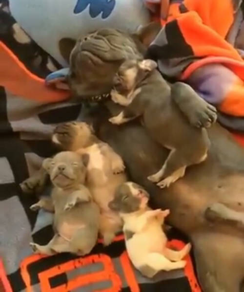 morning picdump 50 pics 21.html - 50 HD Photos | Premium Gallery 2016