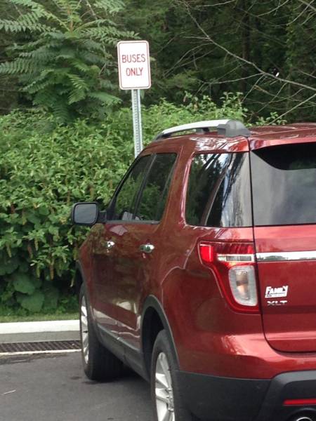 daily picdump weekend edition 74 pics 13.html - 74 HD Photos | Premium Gallery 2016