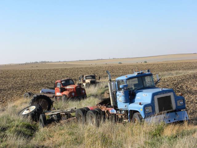 daily picdump weekend edition 74 pics 13.html - 74 HD Photos | Premium Gallery 2016