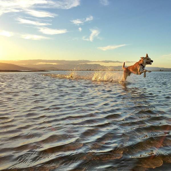 daily picdump weekend edition 74 pics 13.html - 74 HD Photos | Premium Gallery 2016