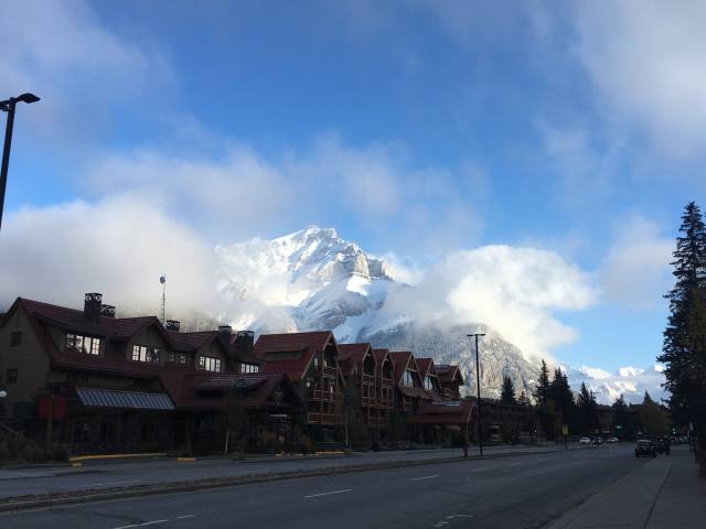 daily picdump weekend edition 74 pics 13.html - 74 HD Photos | Premium Gallery 2016