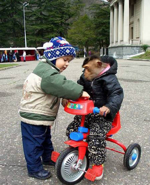 daily picdump weekend edition 74 pics 13.html - 74 HD Photos | Premium Gallery 2016