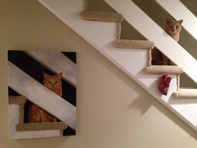 daily picdump weekend edition 74 pics 13.html - 74 HD Photos | Premium Gallery 2016