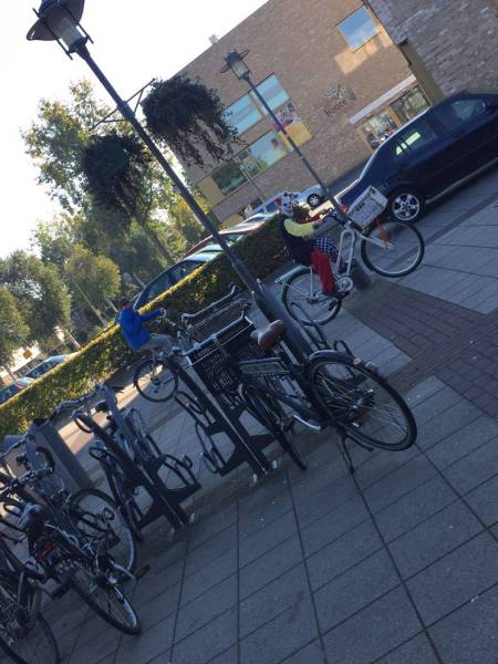 daily picdump 88 pics 24.html - 88 HD Photos | Premium Gallery 2016