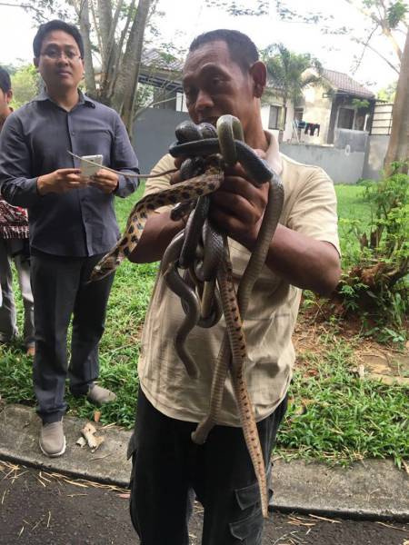 daily picdump 88 pics 24.html - 88 HD Photos | Premium Gallery 2016