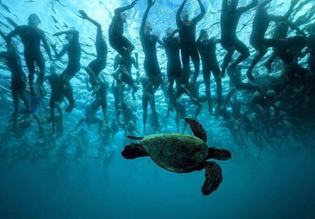 daily picdump 88 pics 24.html - 88 HD Photos | Premium Gallery 2016