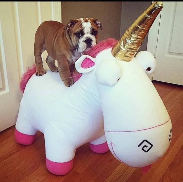 daily picdump 88 pics 24.html - 88 HD Photos | Premium Gallery 2016