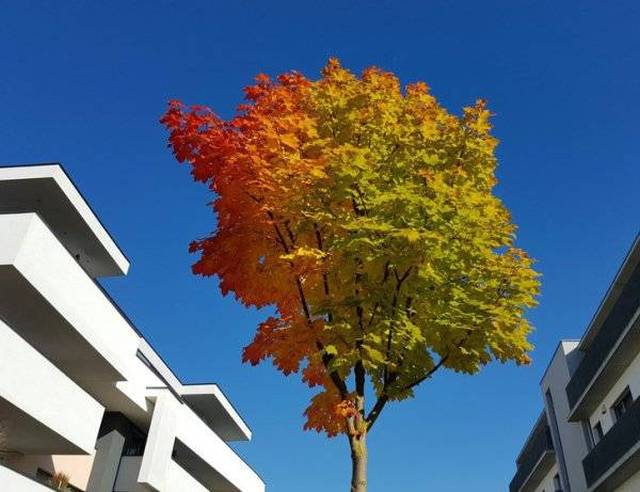 morning picdump 57 pics 26.html - 57 HD Photos | Premium Gallery 2016