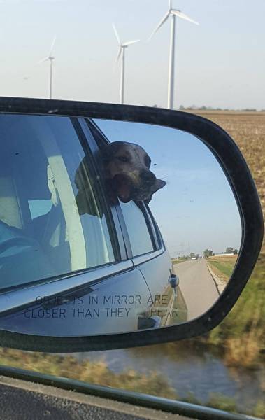 morning picdump 57 pics 26.html - 57 HD Photos | Premium Gallery 2016