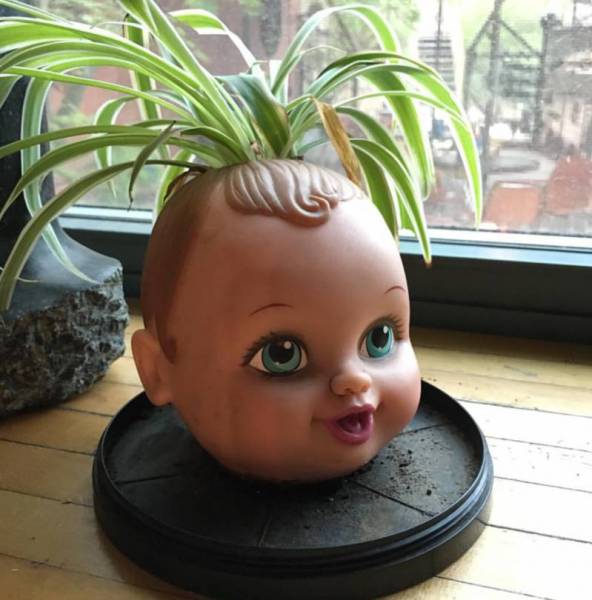 morning picdump 54 pics 14.html - 54 HD Photos | Premium Gallery 2016