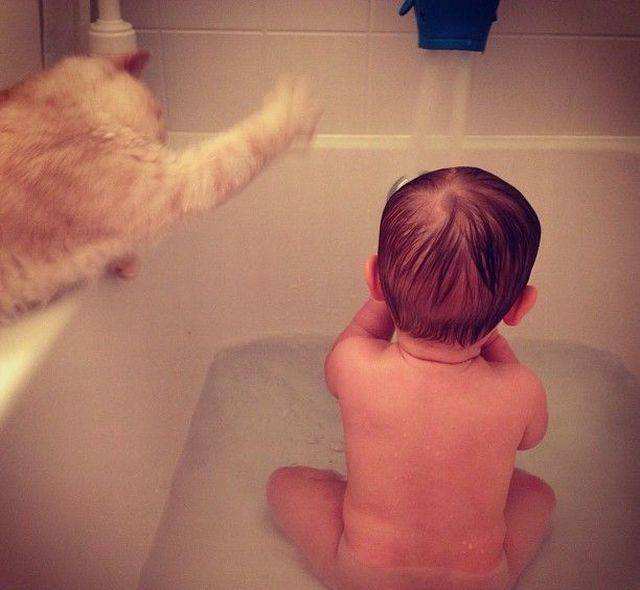 daily picdump 80 pics 39.html - 80 HD Photos | Premium Gallery 2016