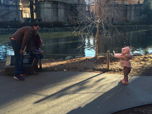 daily picdump 80 pics 39.html - 80 HD Photos | Premium Gallery 2016