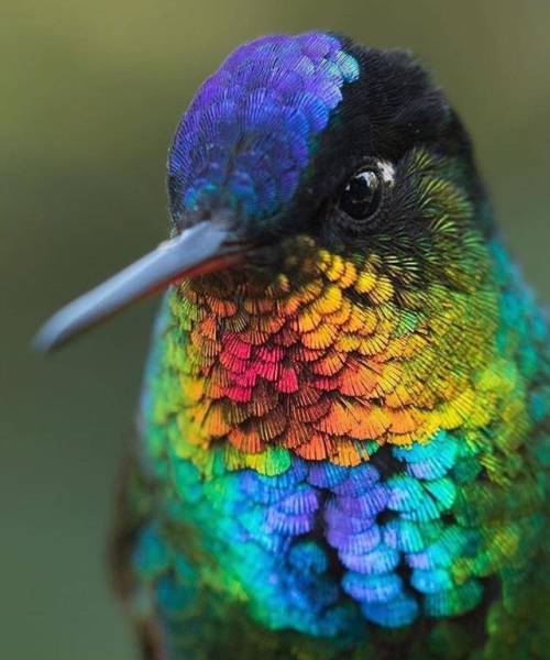 daily picdump 80 pics 39.html - 80 HD Photos | Premium Gallery 2016