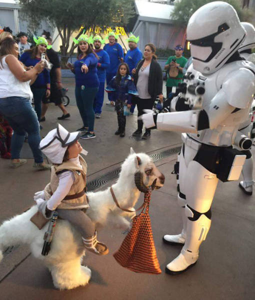 morning picdump 54 pics 11.html - 54 HD Photos | Premium Gallery 2016