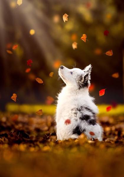 morning picdump 54 pics 11.html - 54 HD Photos | Premium Gallery 2016