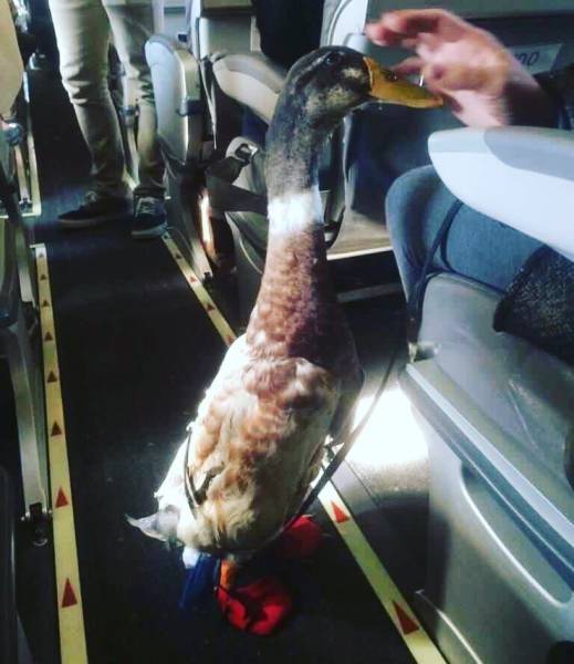 Daily Picdump [WEEKEND EDITION]