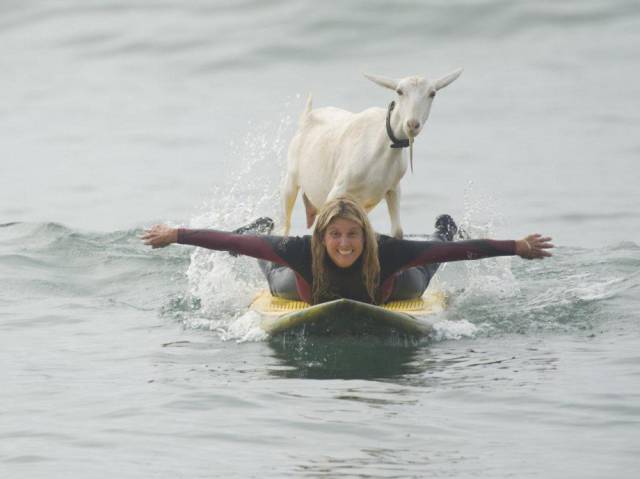 Daily Picdump [WEEKEND EDITION]