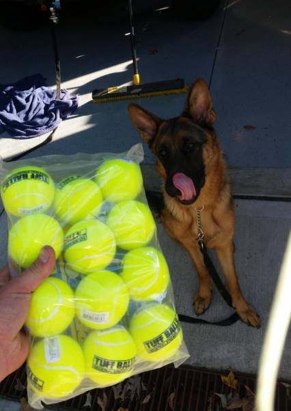 daily picdump weekend edition 54 pics 5.html - 54 HD Photos | Premium Gallery 2016