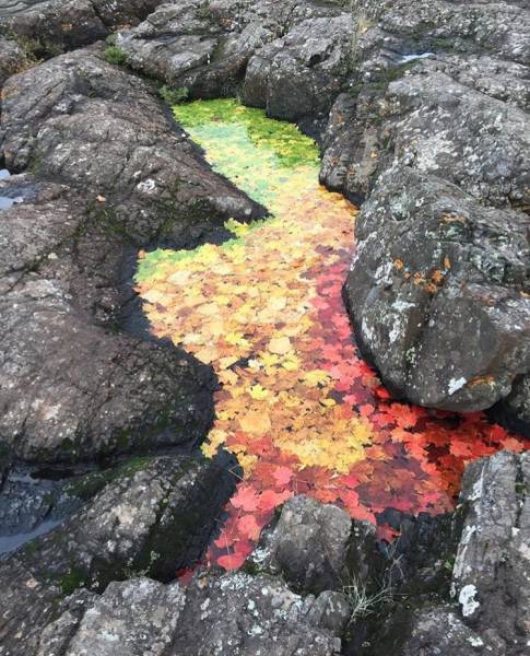 daily picdump weekend edition 54 pics 5.html - 54 HD Photos | Premium Gallery 2016