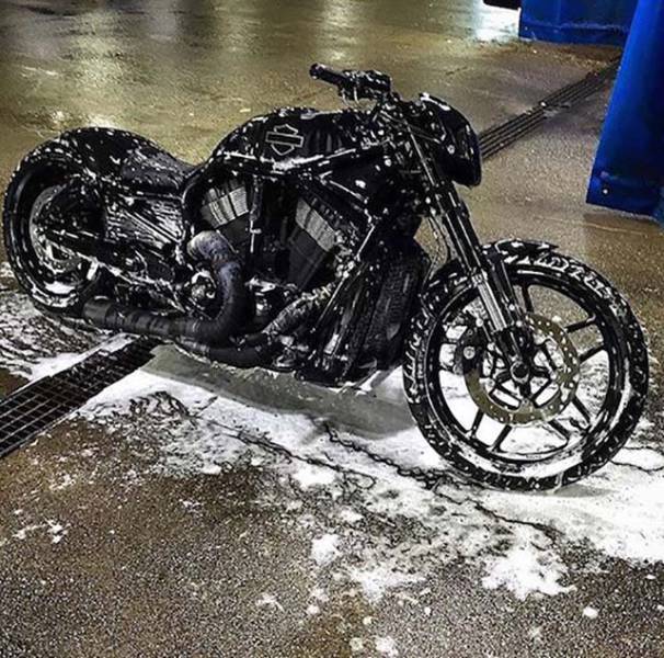 daily picdump 84 pics 33.html - 84 HD Photos | Premium Gallery 2016