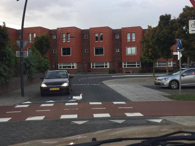 daily picdump 80 pics 36.html - 80 HD Photos | Premium Gallery 2016