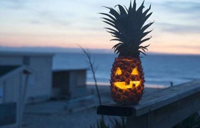 daily picdump 80 pics 36.html - 80 HD Photos | Premium Gallery 2016