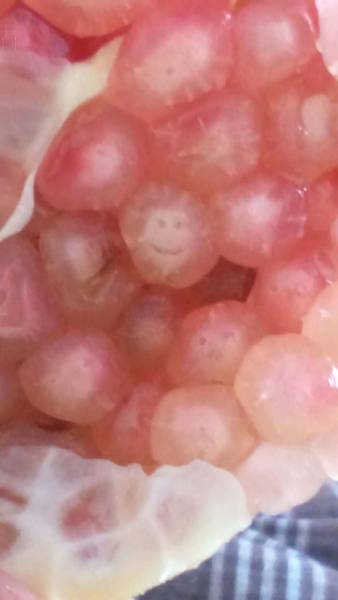 funny picdump 50 pics 4.html - 50 HD Photos | Premium Gallery 2016