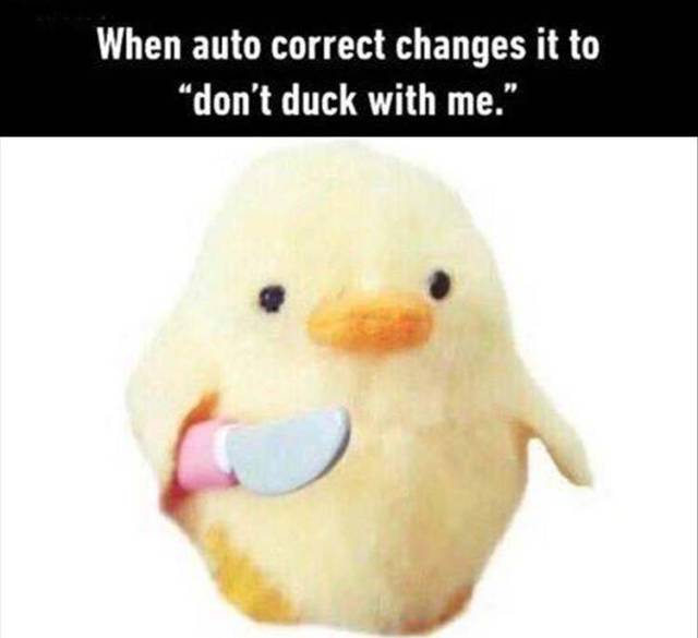 funny picdump 50 pics 4.html - 50 HD Photos | Premium Gallery 2016