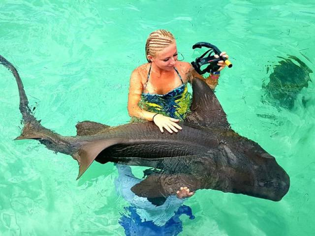 morning picdump 52 pics 14.html - 52 HD Photos | Premium Gallery 2016