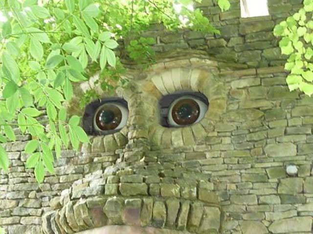 morning picdump 53 pics 23.html - 53 HD Photos | Premium Gallery 2016