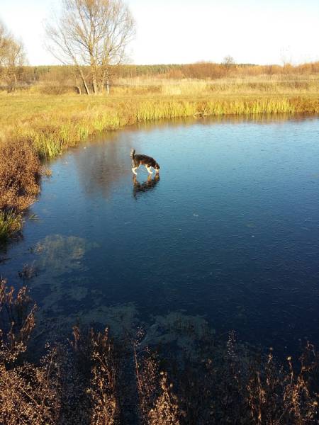 daily picdump 80 pics 32.html - 80 HD Photos | Premium Gallery 2016