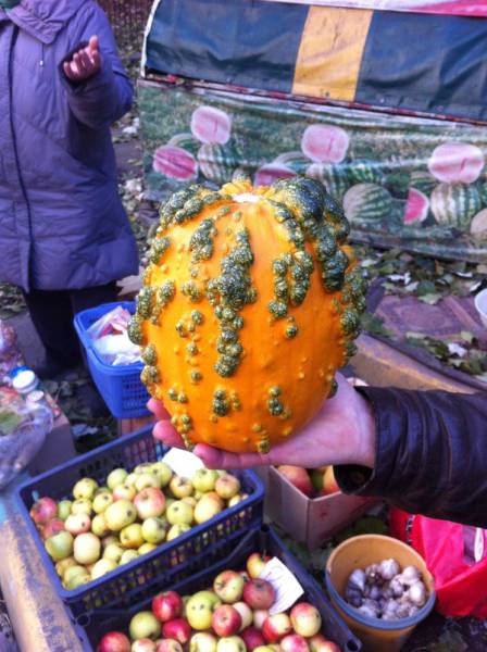 daily picdump 80 pics 32.html - 80 HD Photos | Premium Gallery 2016