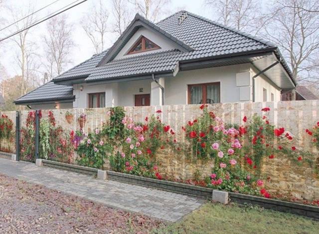 daily picdump 80 pics 32.html - 80 HD Photos | Premium Gallery 2016