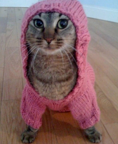 morning picdump 51 pics 12.html - 51 HD Photos | Premium Gallery 2016