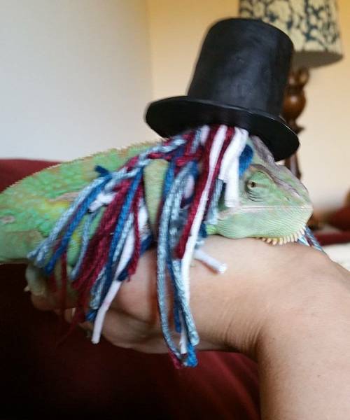 morning picdump 51 pics 12.html - 51 HD Photos | Premium Gallery 2016