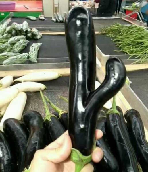 morning picdump 51 pics 12.html - 51 HD Photos | Premium Gallery 2016