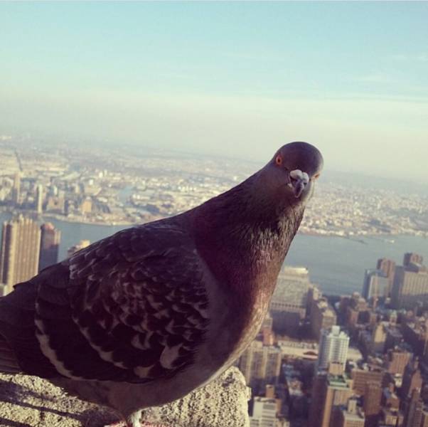 morning picdump 51 pics 12.html - 51 HD Photos | Premium Gallery 2016