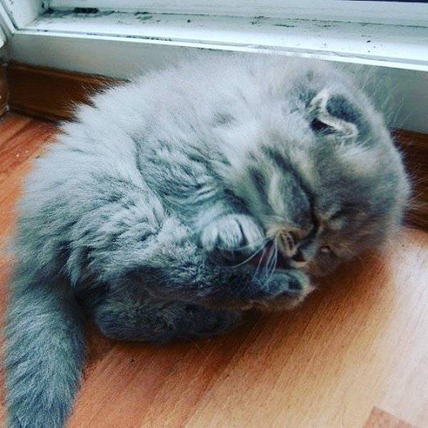 morning picdump 51 pics 12.html - 51 HD Photos | Premium Gallery 2016