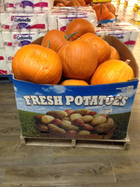 morning picdump 51 pics 12.html - 51 HD Photos | Premium Gallery 2016